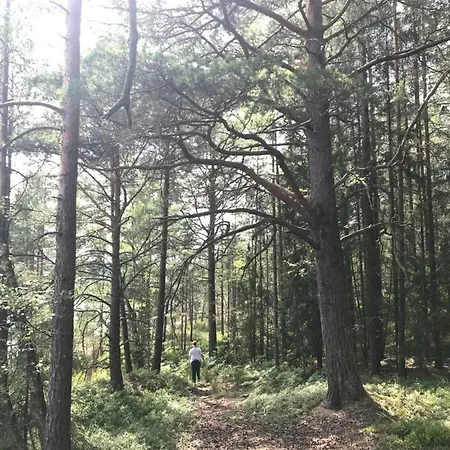度假居 Telemark Cabin On A Small Island *